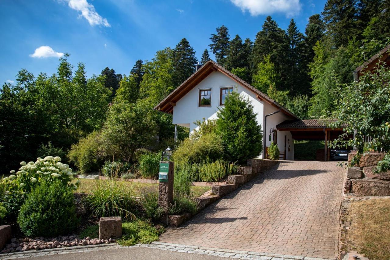 Schwarzwald Chalets Freudenstadt Ngoại thất bức ảnh